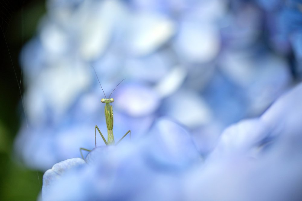 Photograph by Syundyukova Oksana