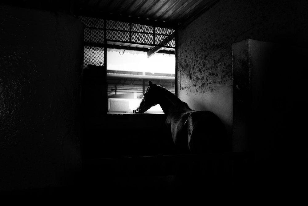 Cuarentena en la cuadra