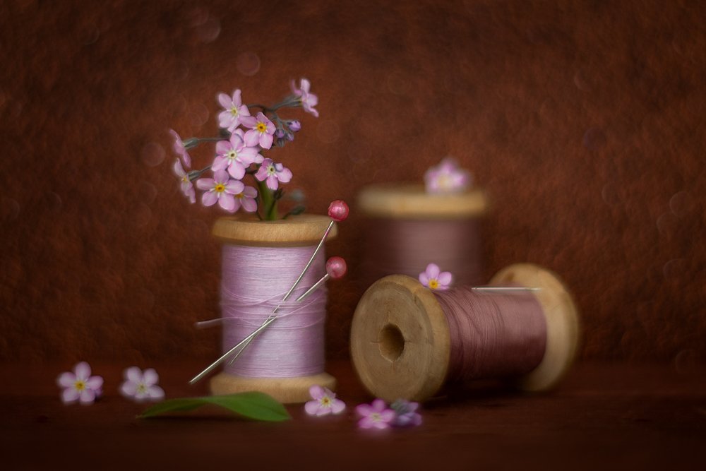 Фотография автора Зоя Галимова