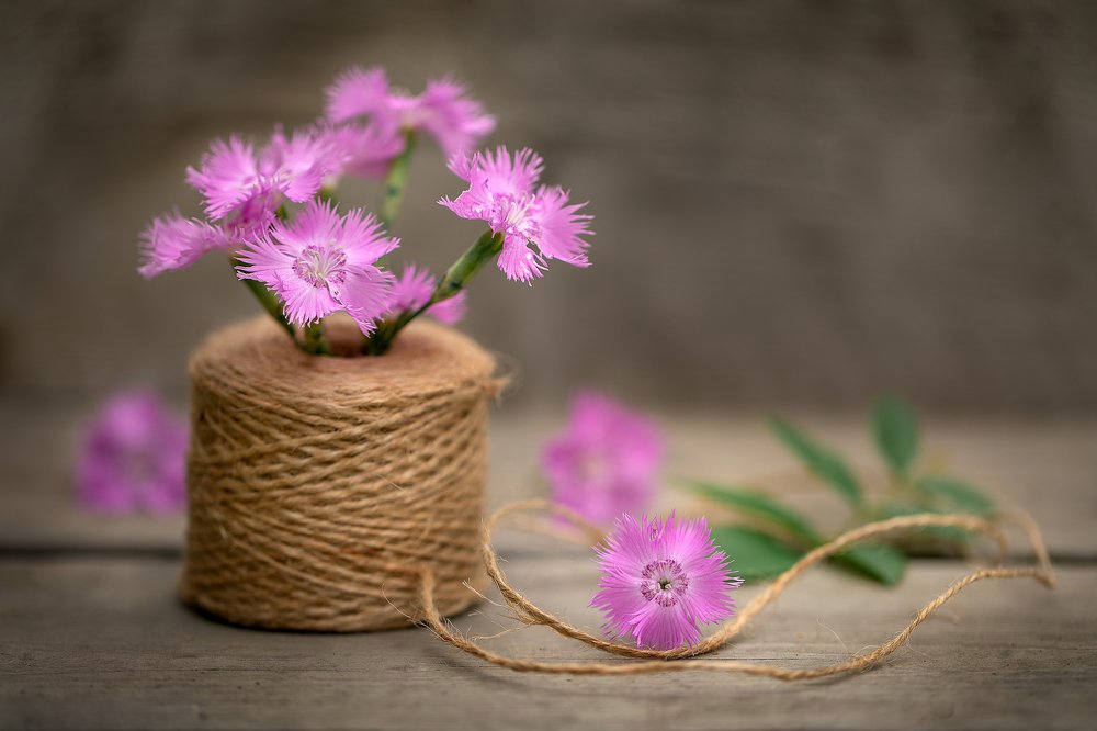 Фотография автора Зоя Галимова