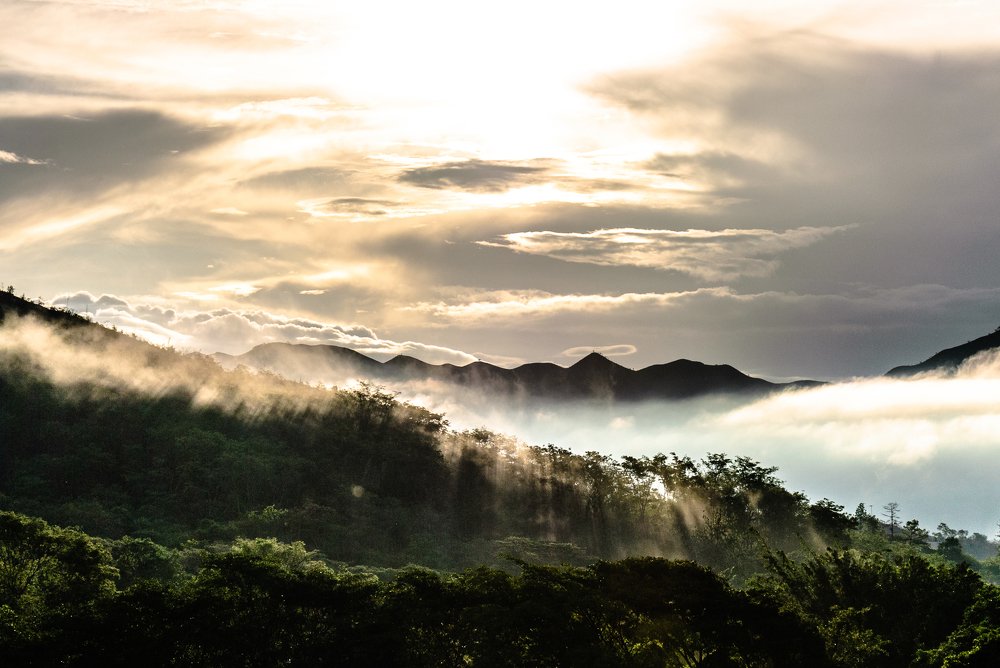 Amanecer, la promesa de un nuevo renacer diario