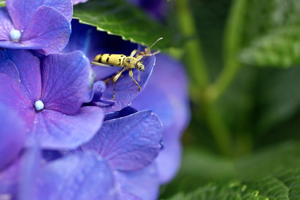 Photograph by Syundyukova Oksana