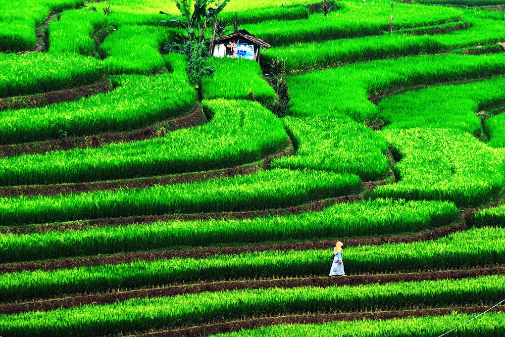 PASIR IMPUN - BANDUNG - WEST JAVA