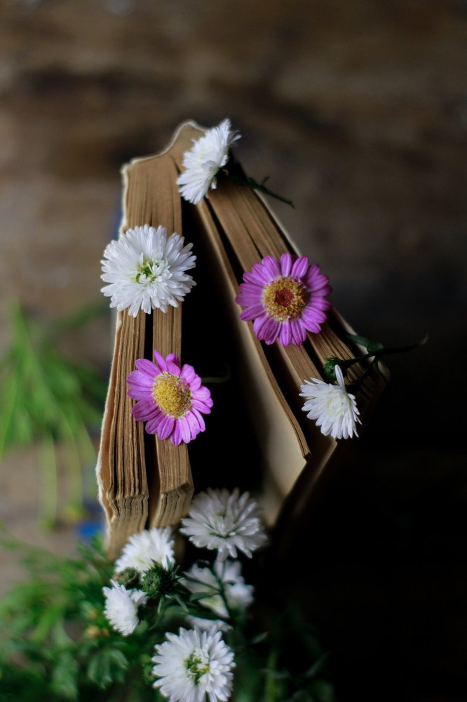 Photograph by Treesnawaty Rahim