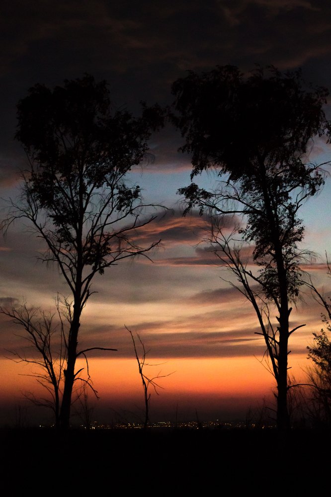 Photograph by Алексей Скиданюк