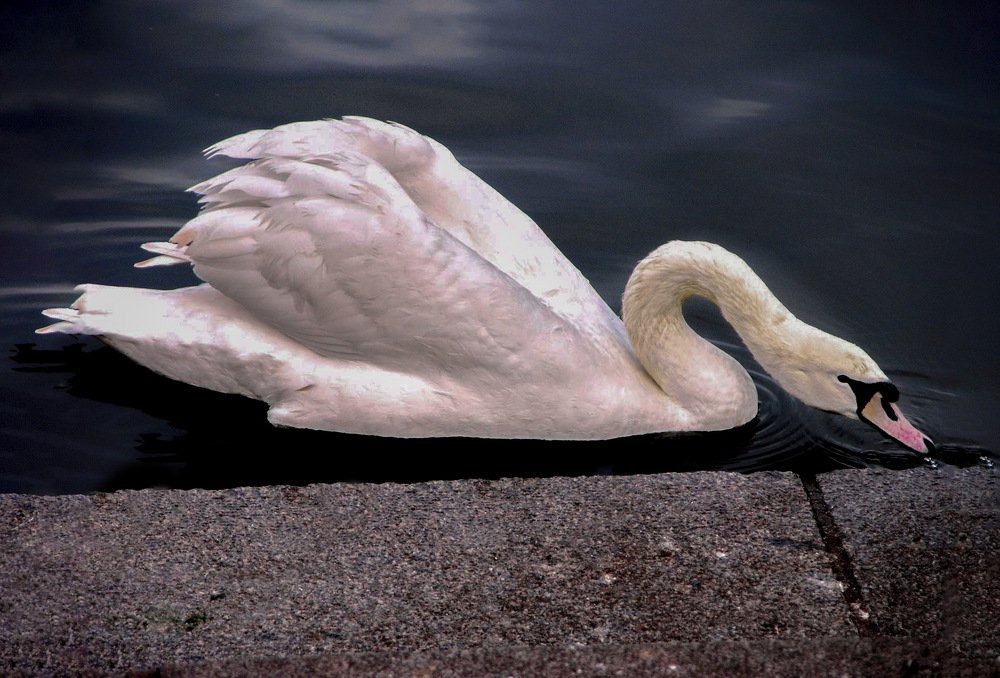 Photograph by Ирина Федорова