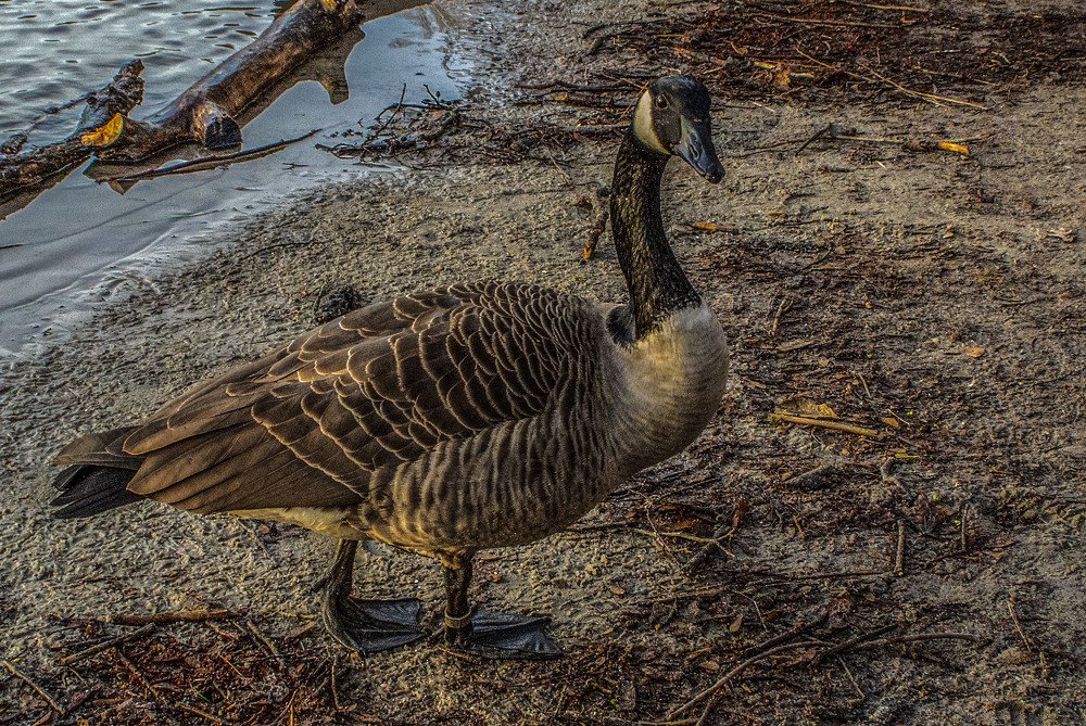 Photograph by Ирина Федорова