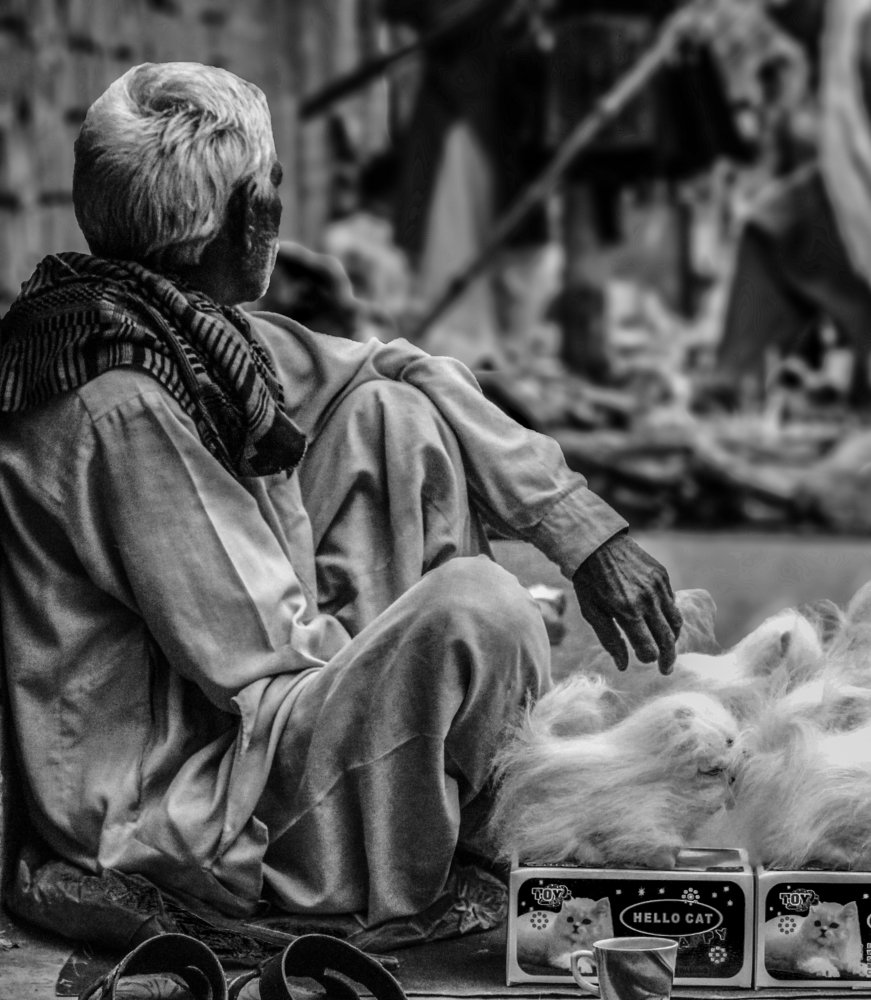 Photograph by Iqbal Tayyab