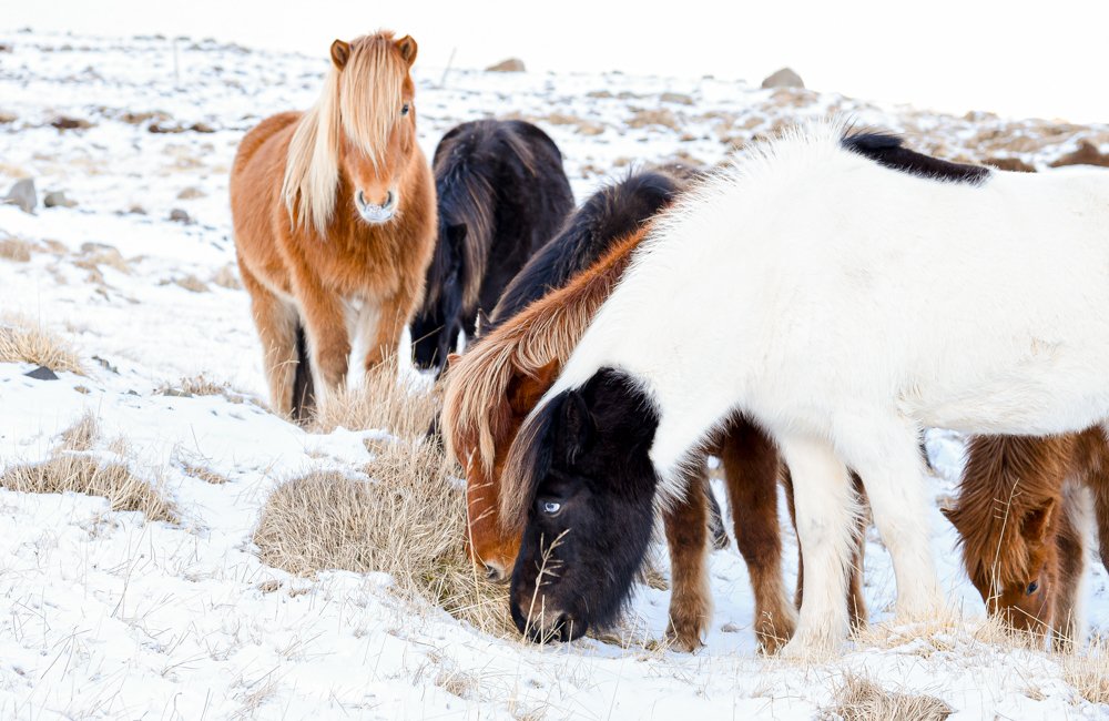 Фотография автора Gabriela Bonilla