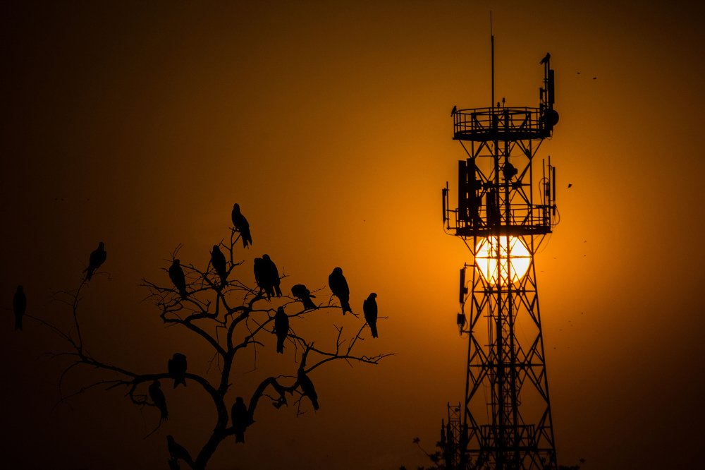 Photograph by Iqbal Tayyab