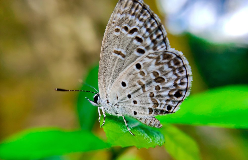 Photograph by Khan Shakil Mohammad