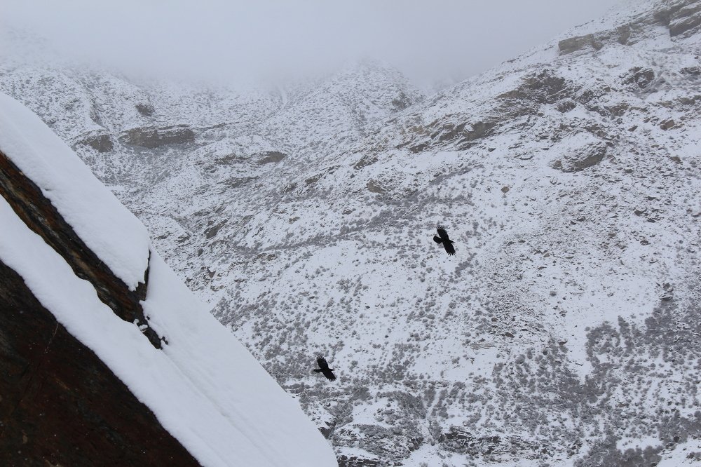 Напару мы взлетим. Непальскими тропами.
