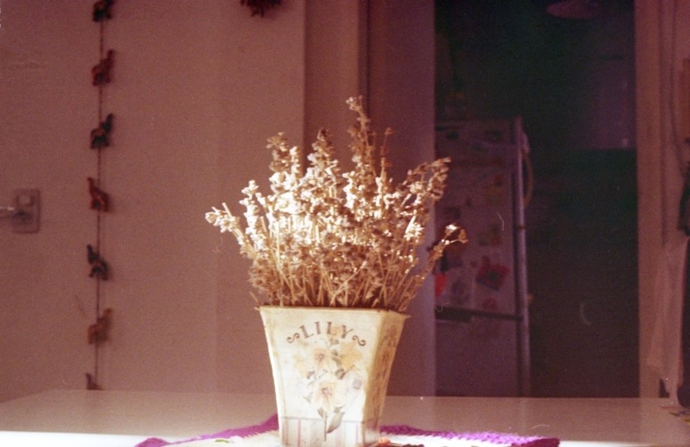 Photograph by Valeria Arcuri