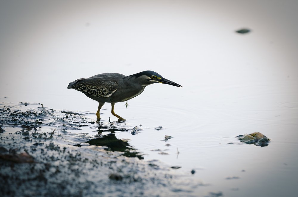 Photograph by Kamil Izzudin
