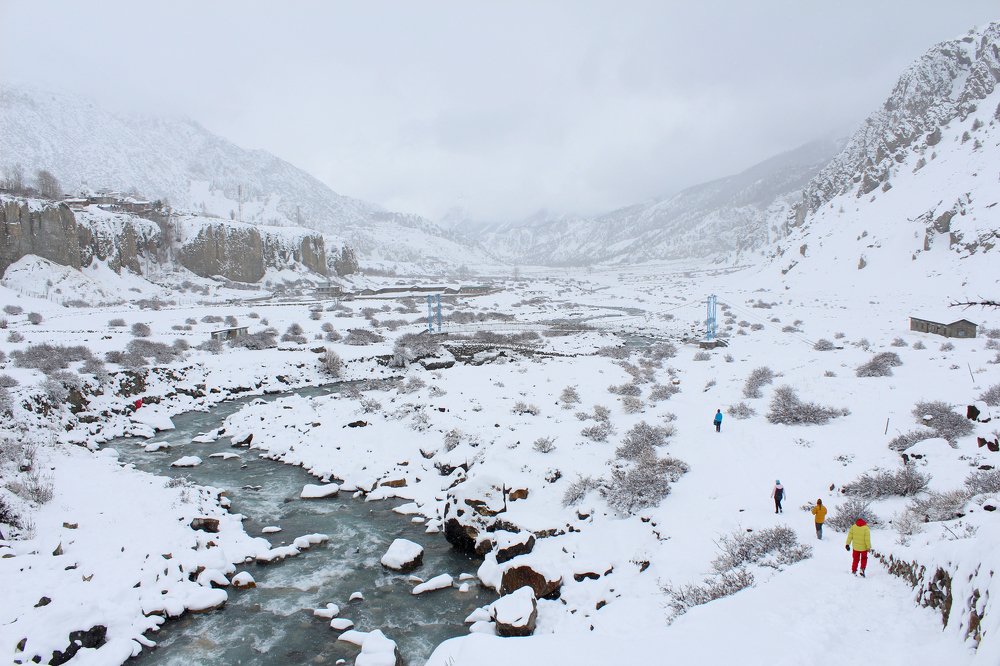 Жизнь идёт своим чередом. Гималаи.