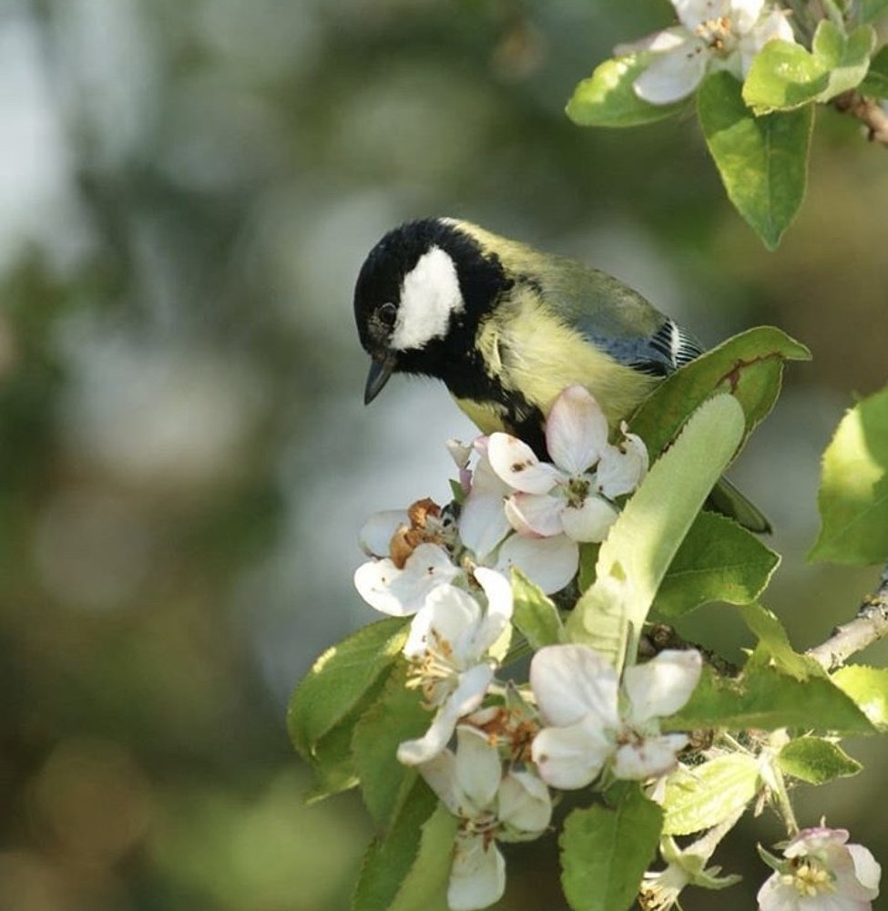 Photograph by Лена Гобена