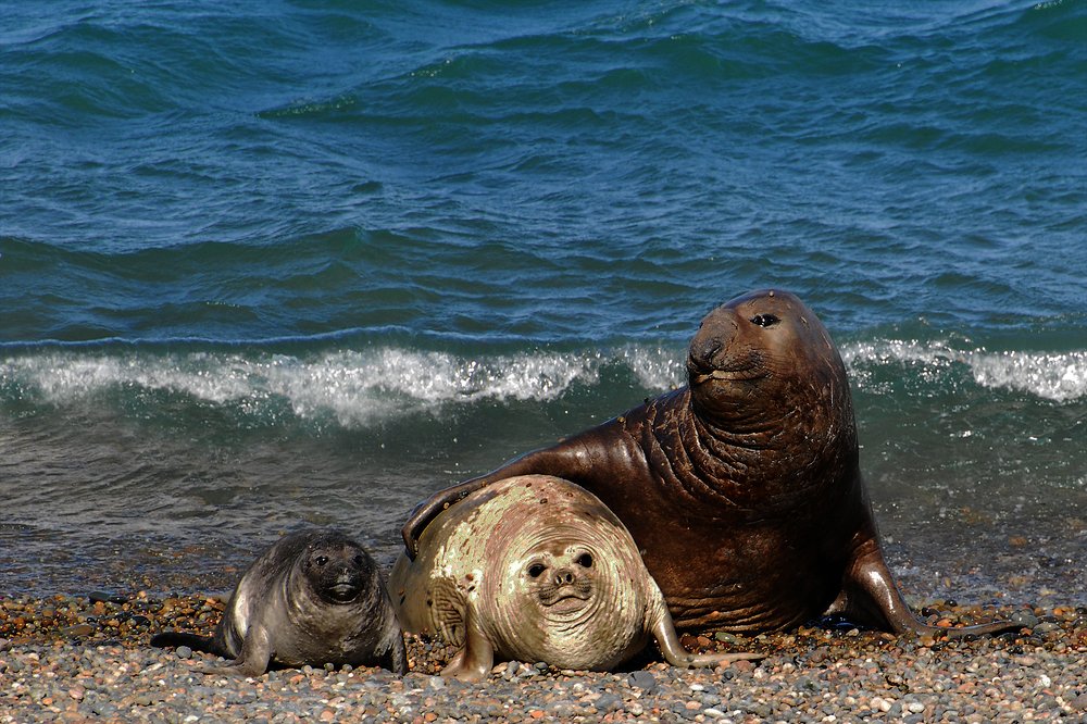 Photograph by SI SABER LOTFI