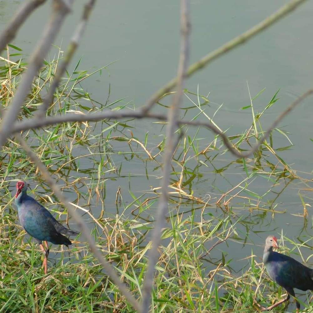 Photograph by Diwakaran D