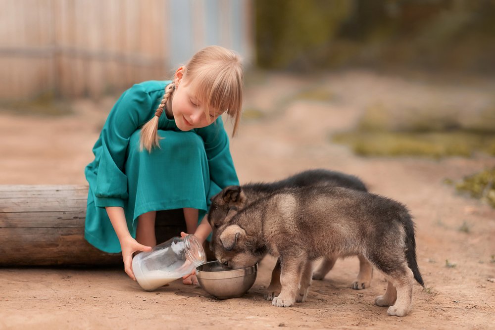Девочка со щенками