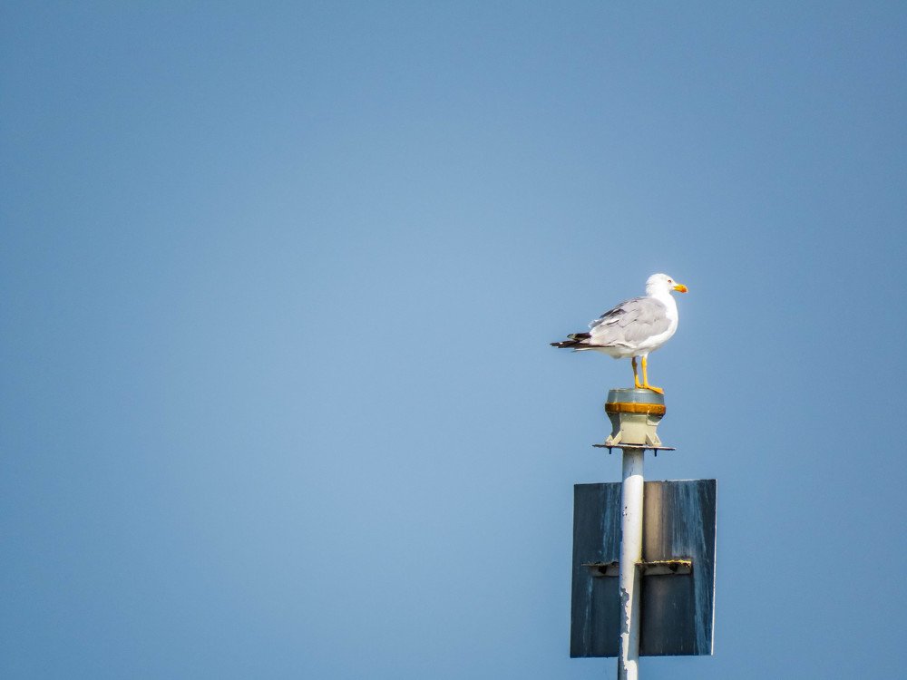 Photograph by Tanja Maric