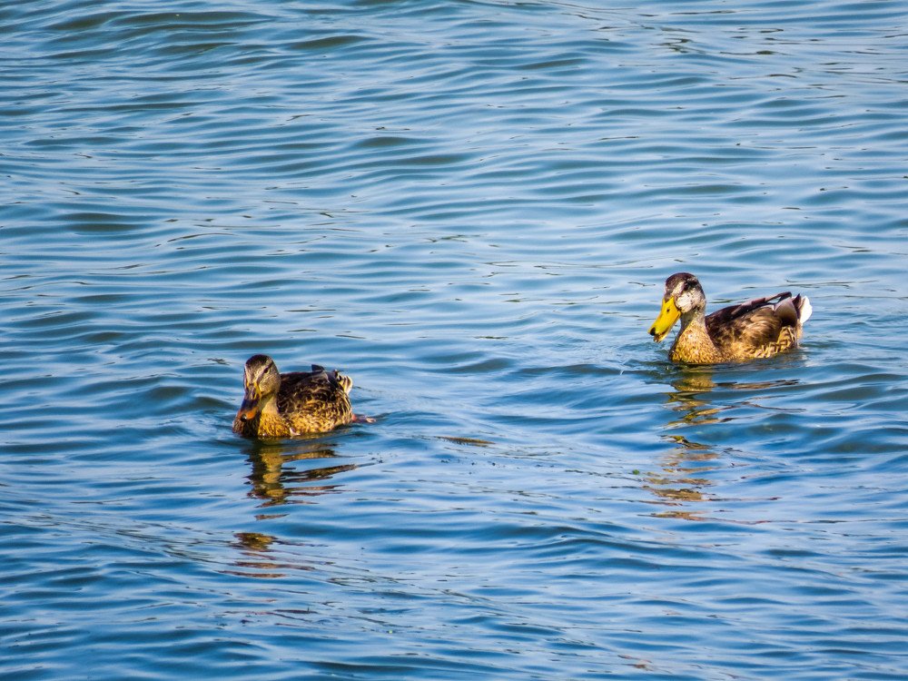 Photograph by Tanja Maric