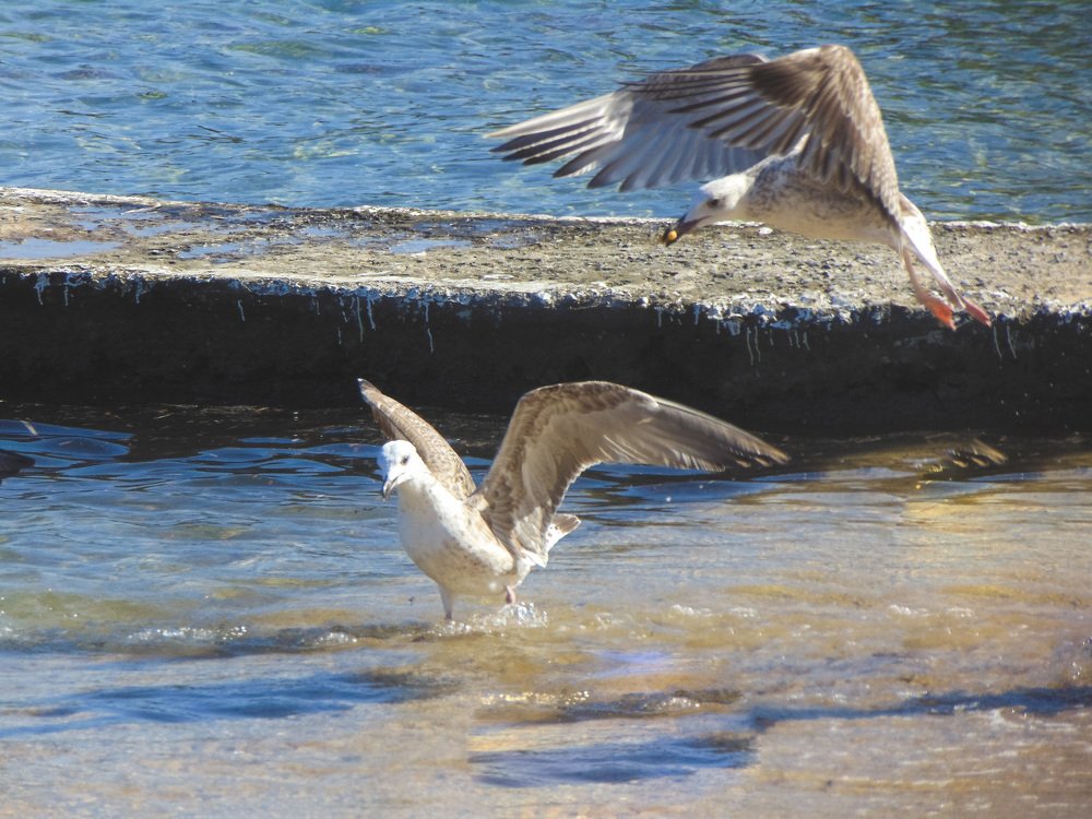 Photograph by Tanja Maric