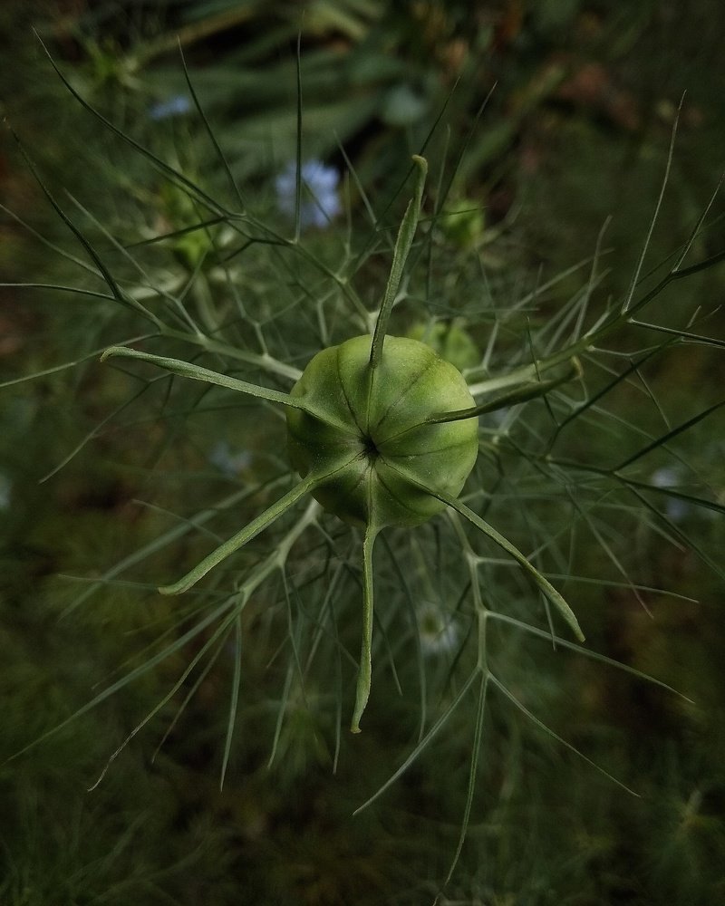 Photograph by Светлана Безъязычная