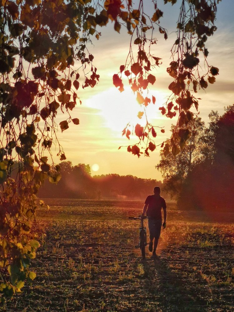 Photograph by Евгений Фелингер