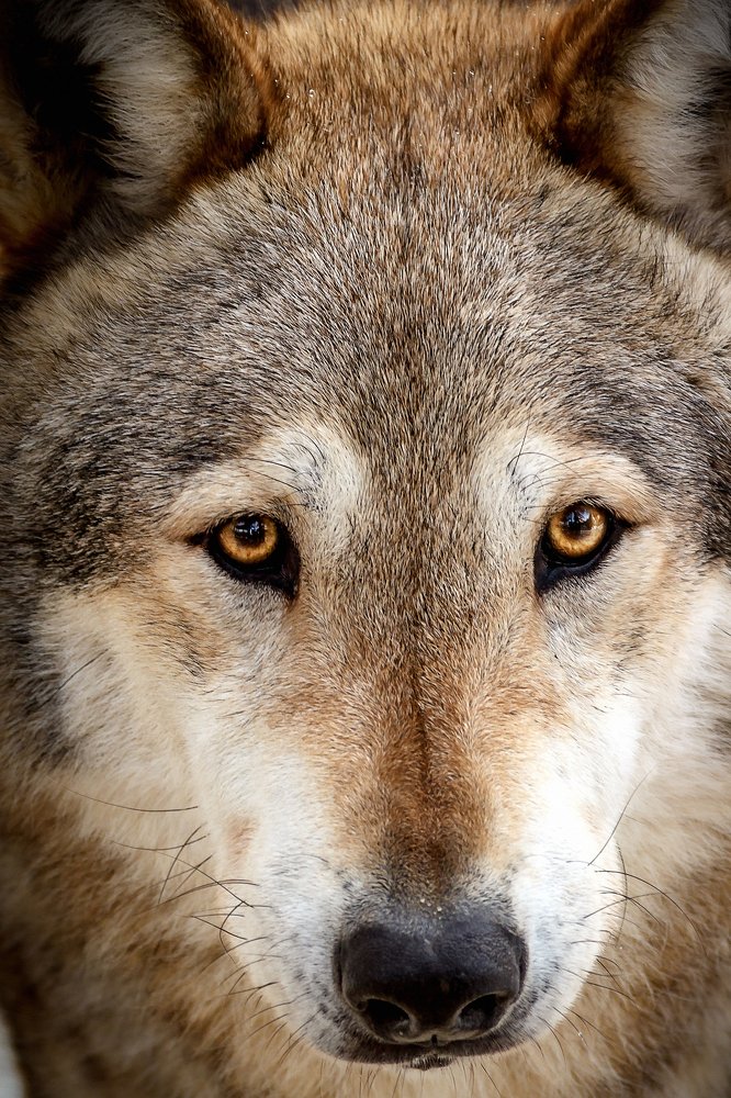 Photograph by Valentin Okulov