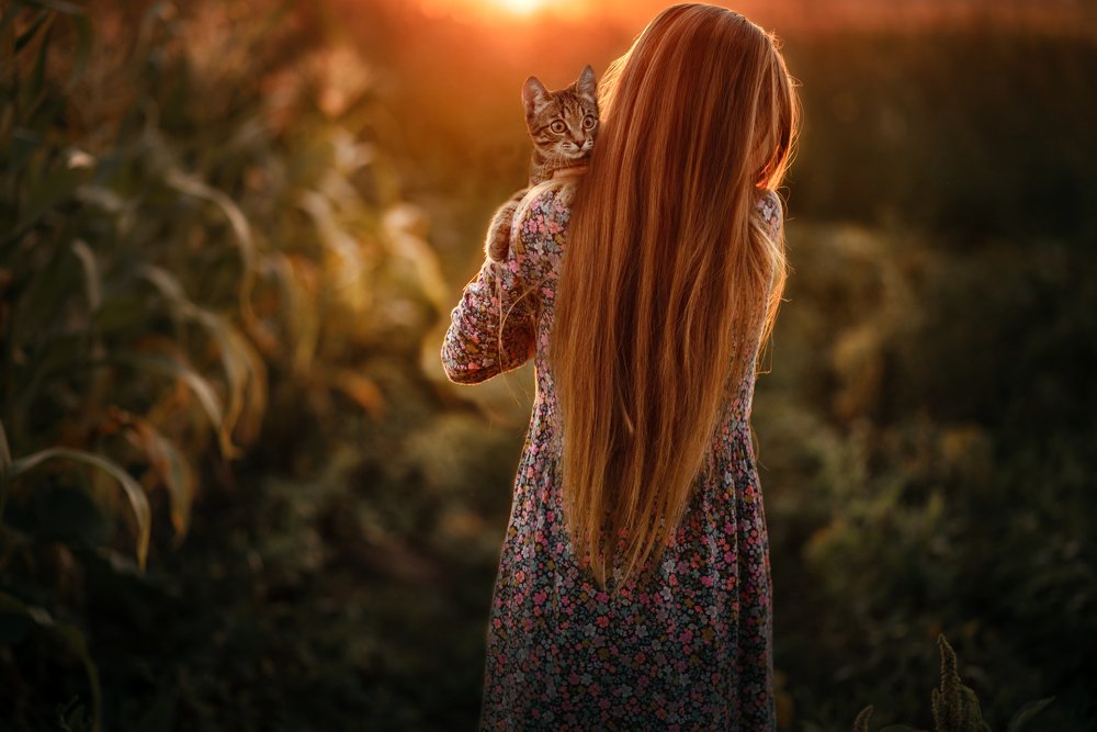 Стой и свети