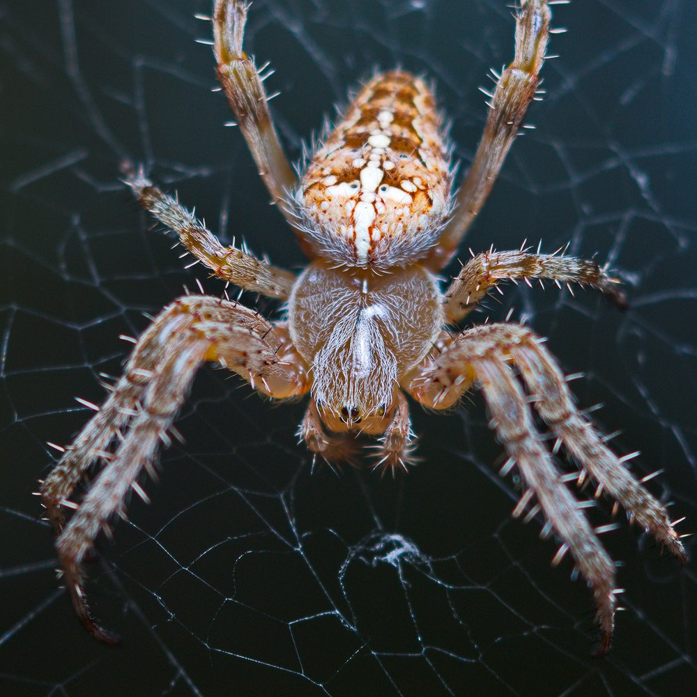 Photograph by Карякин Александр