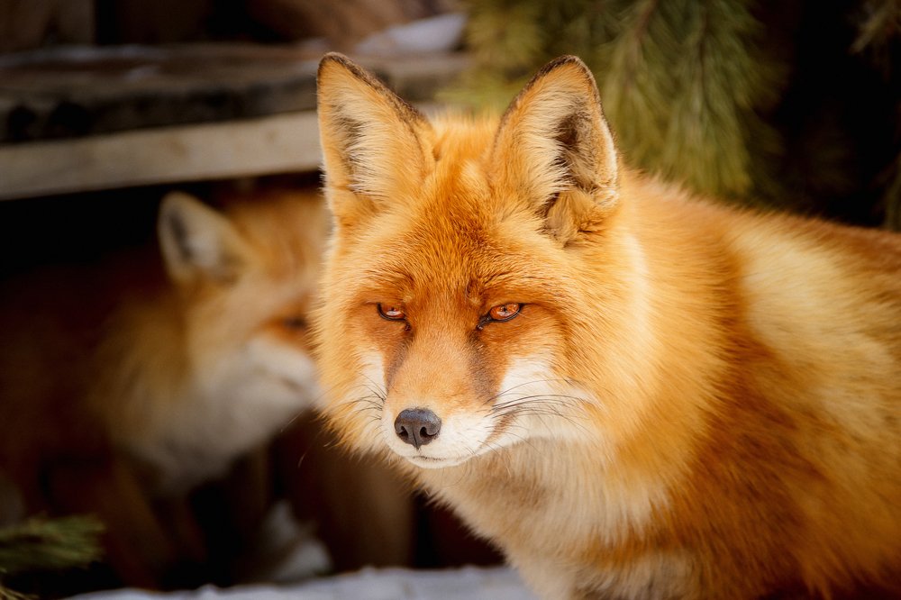 Photograph by Valentin Okulov