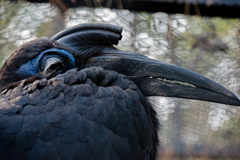 Photograph by Артем Козлов