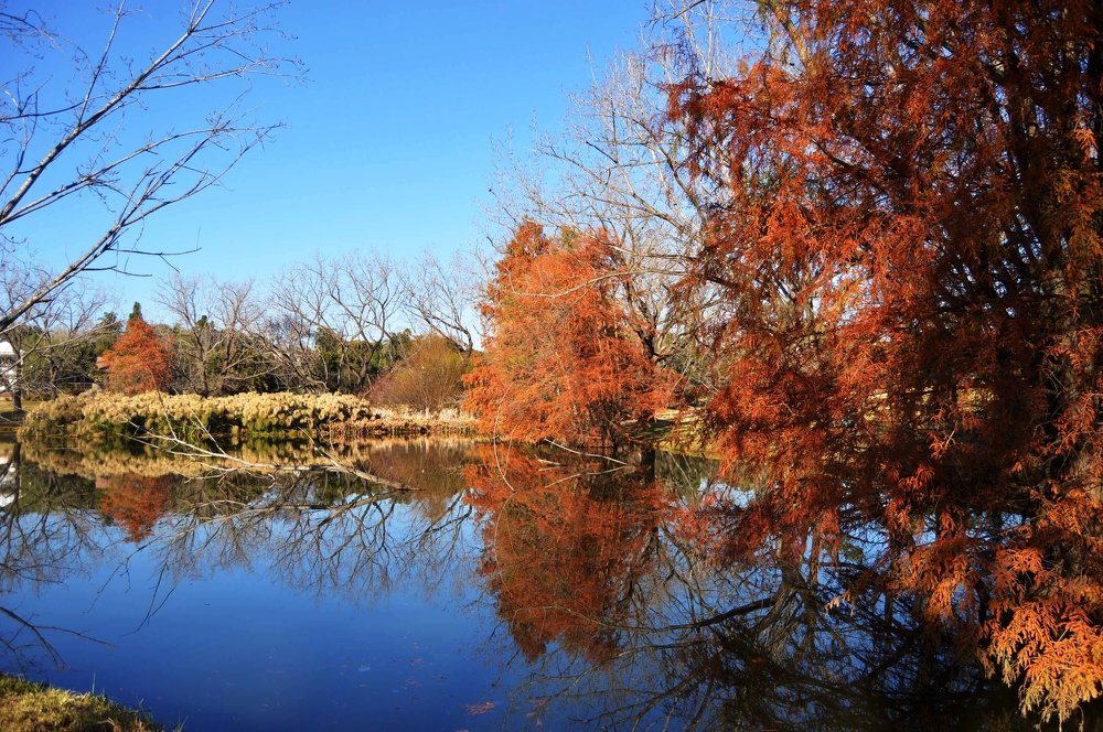 Photograph by Garth Nicholls