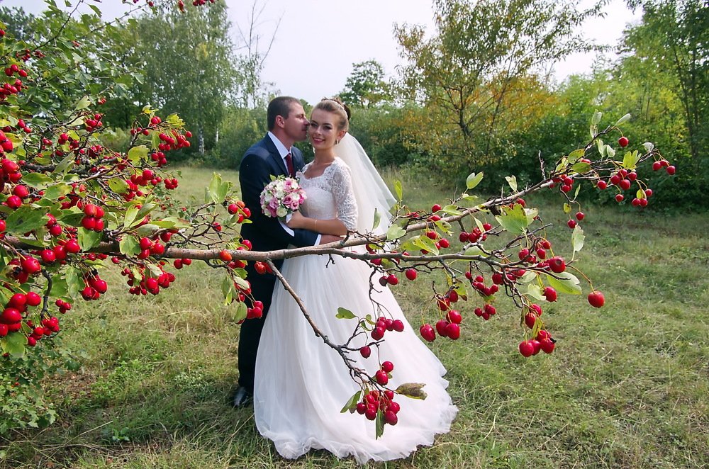 Photograph by Анатолий Святой