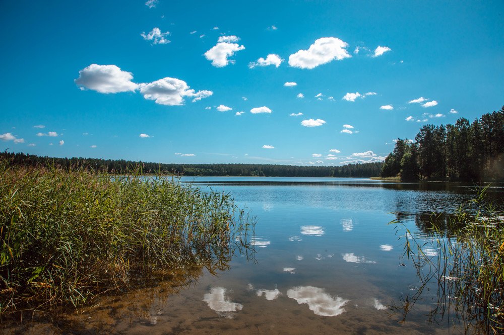 Photograph by Мария Харлашова