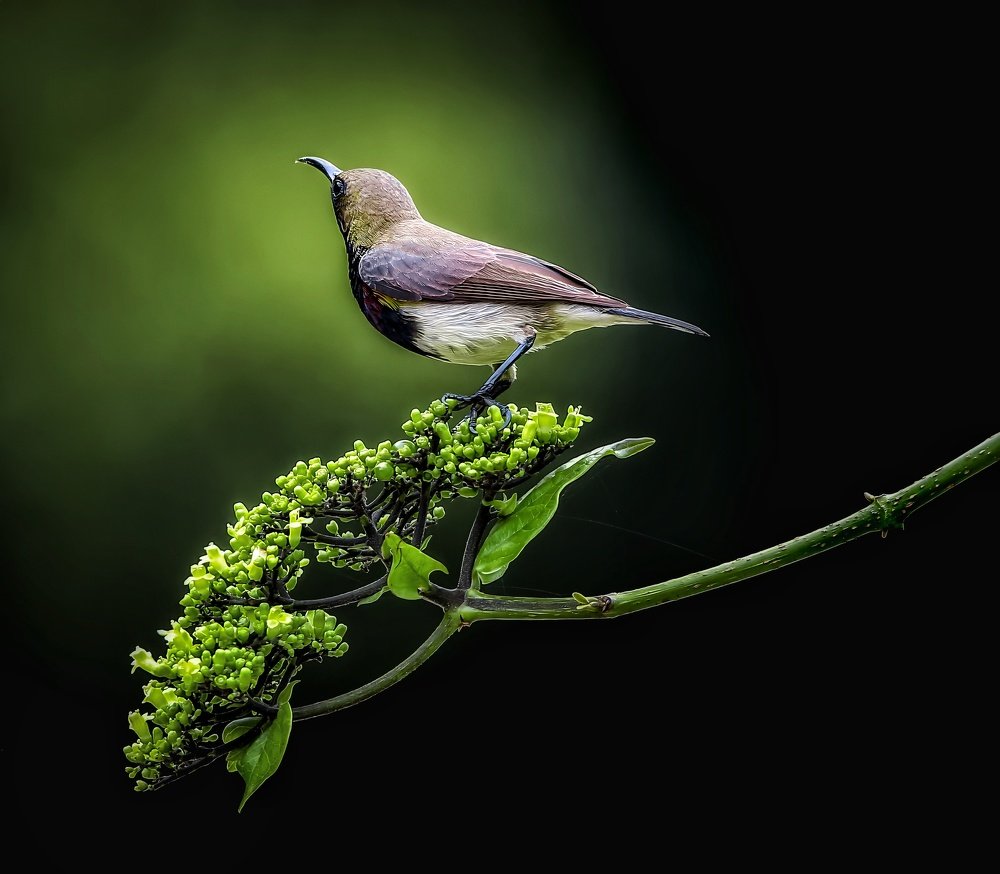 Photograph by ANH VU NGUYEN