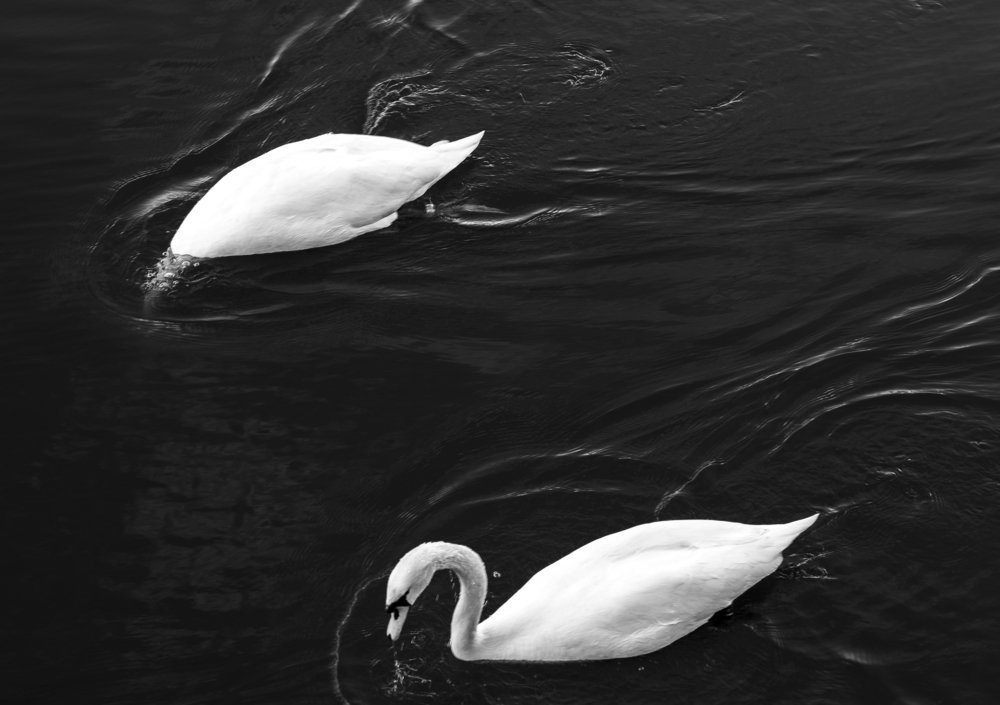 Photograph by Наталья Гаврилова