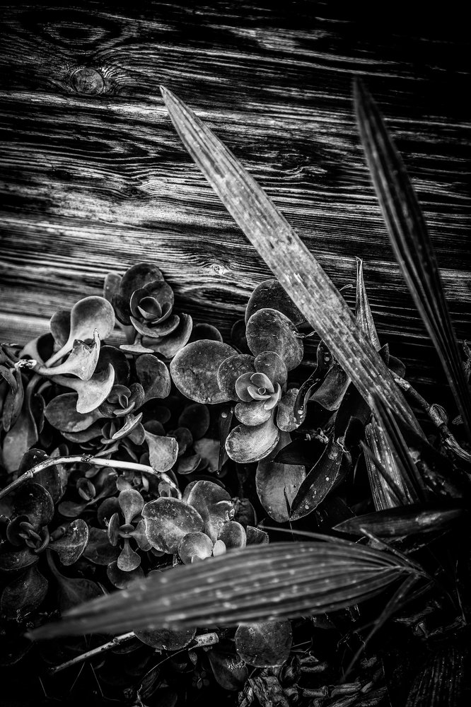 Фотография автора Nasr Khaled