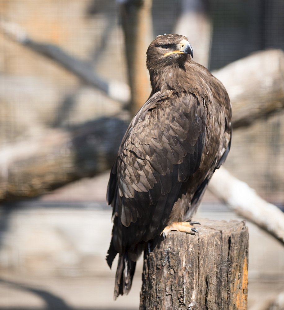 Photograph by Наталья Шалкевич