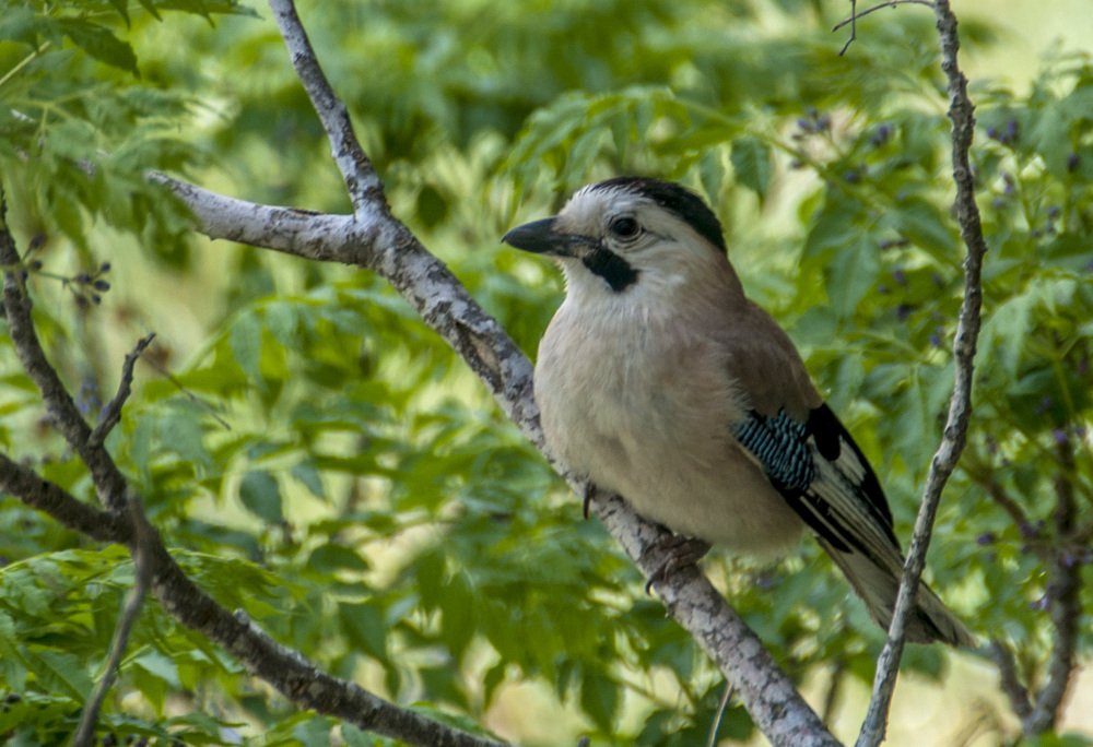 Photograph by Sabina Braginski