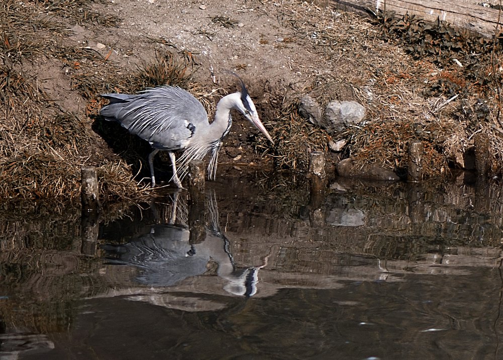 Photograph by Наталья Шалкевич