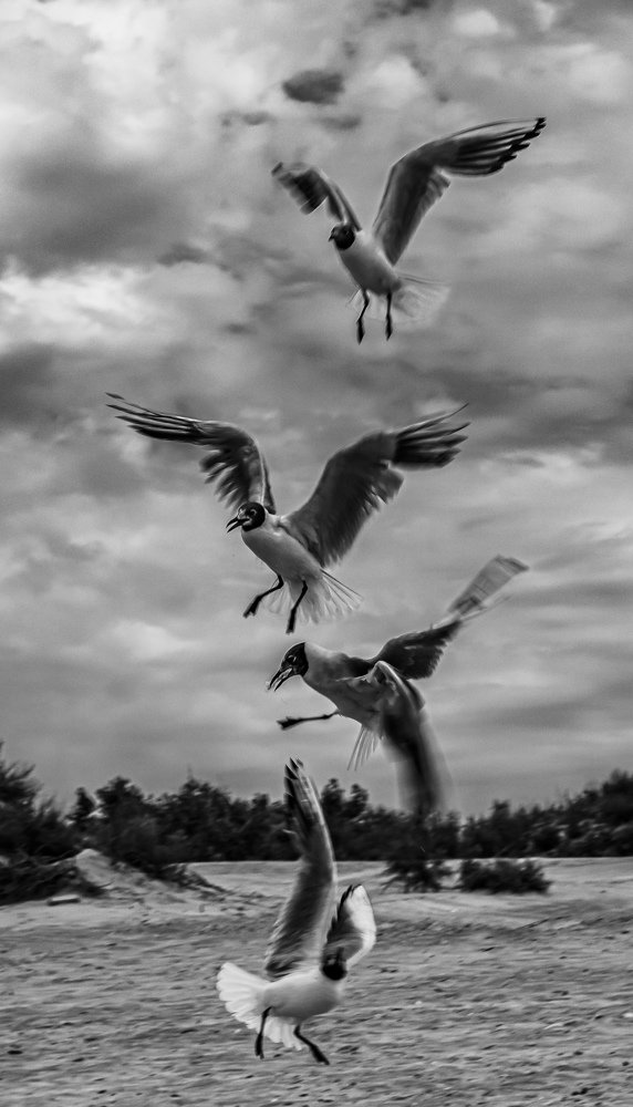 Фотография автора VadimKOVA