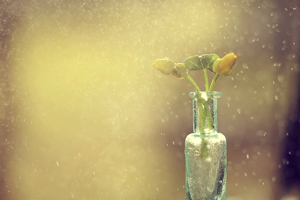 Photograph by Шаталина Оксана