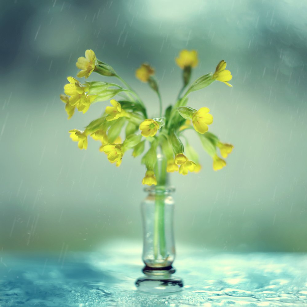 Photograph by Шаталина Оксана