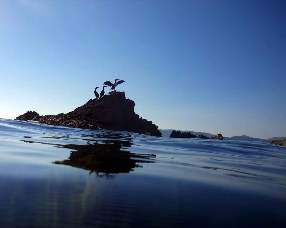 Фотография автора Ines Miljan Popovic