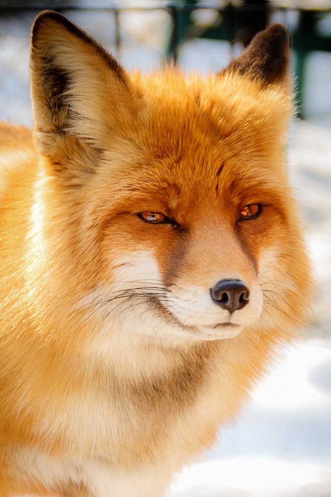 Photograph by Valentin Okulov