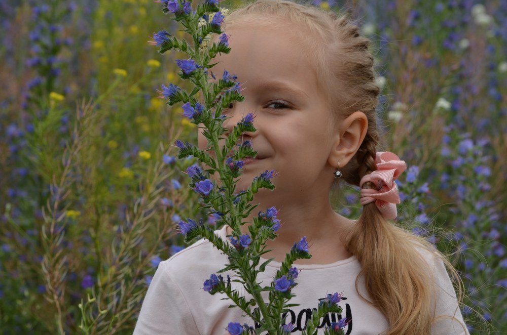 И пчелы не помеха...