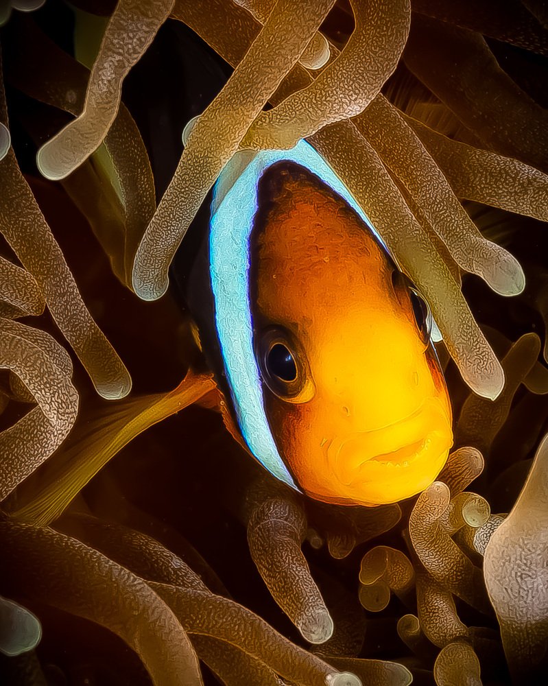 Photograph by Alexander Plakida