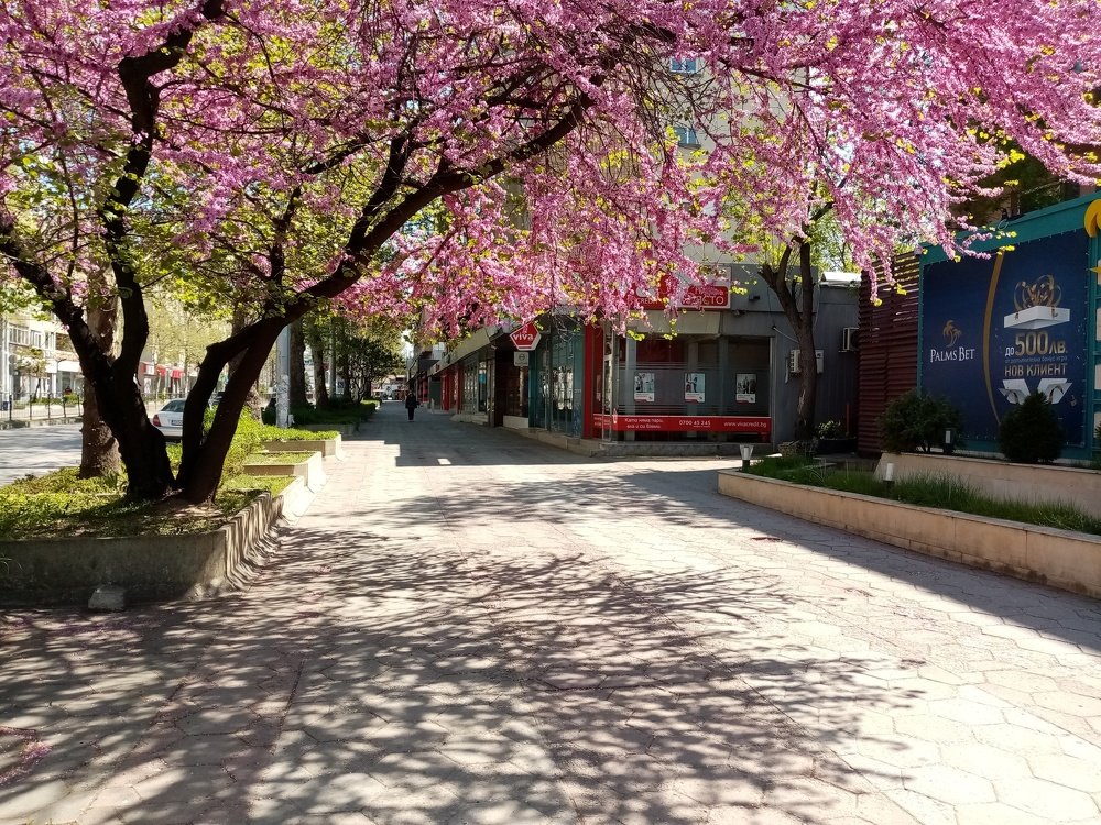 Розовый дым / Pink smoke